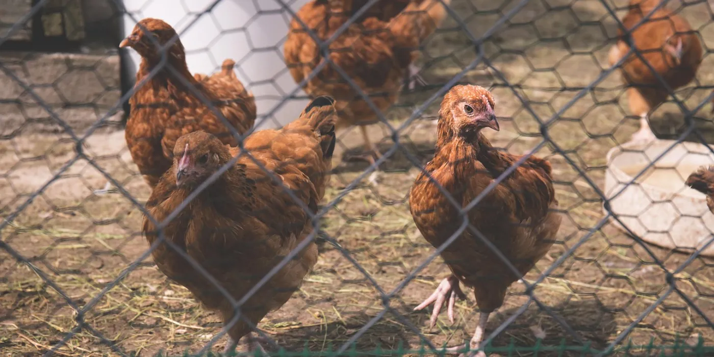 Agricultural & Farming Agricultural & Farming